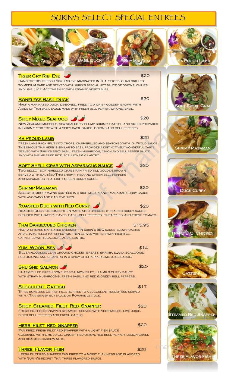 Surin Of Thailand - Atlanta, GA menu_pic