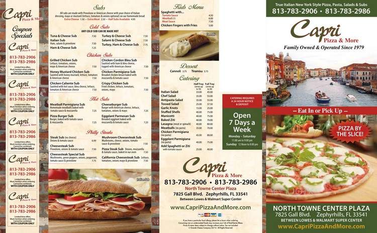 Capri Pizza-N-More - Tampa, FL menu_pic