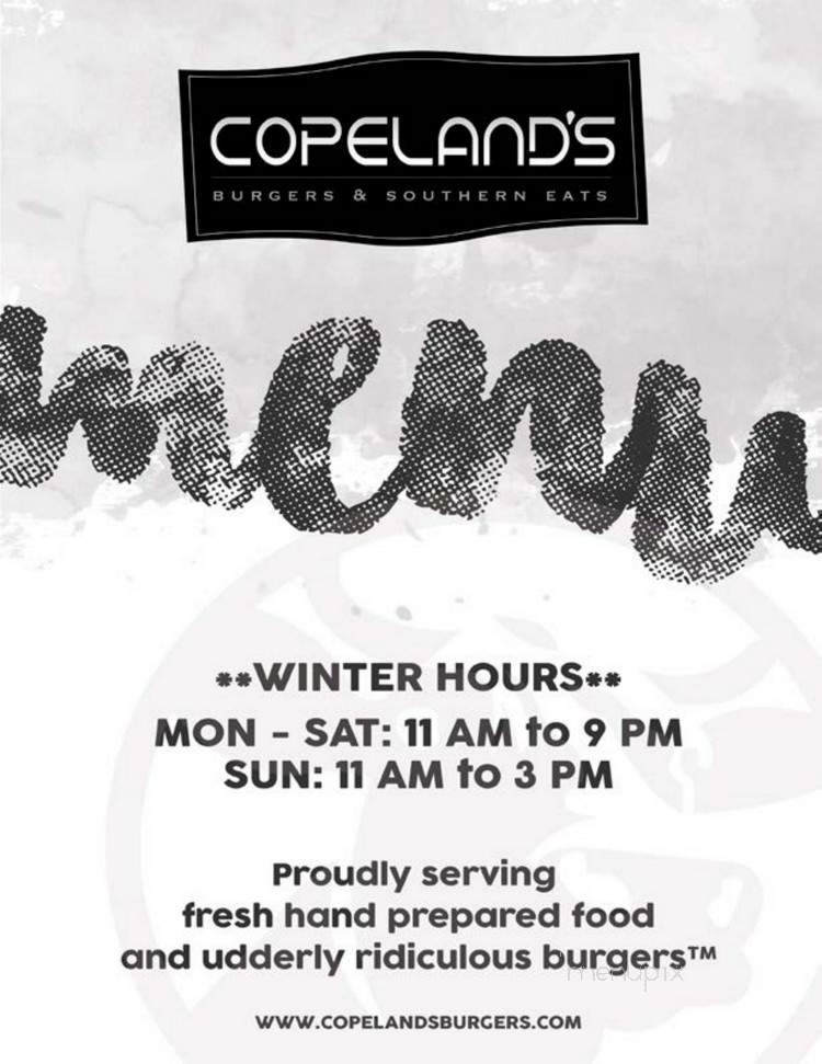 Copeland's Burgers and Southern Eats - Blairsville, GA menu_pic