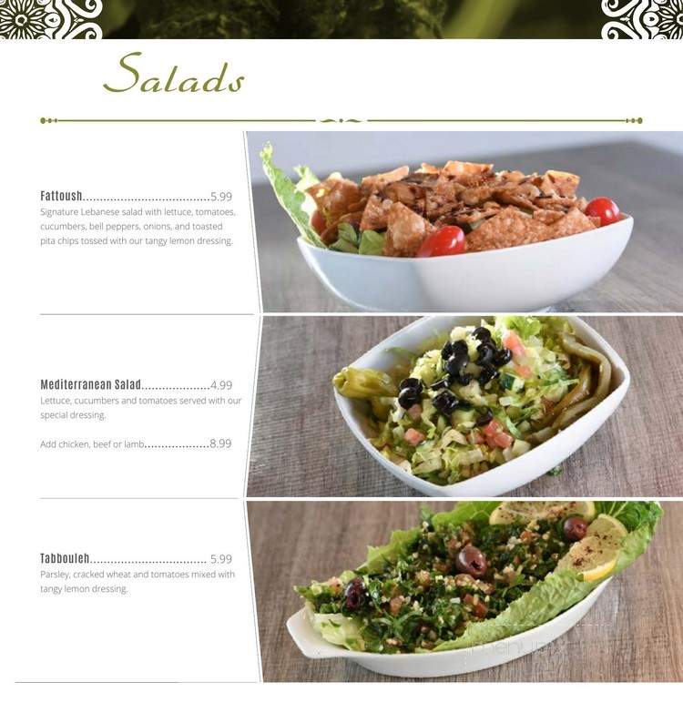 Kababchi Grill - San Antonio, TX menu_pic