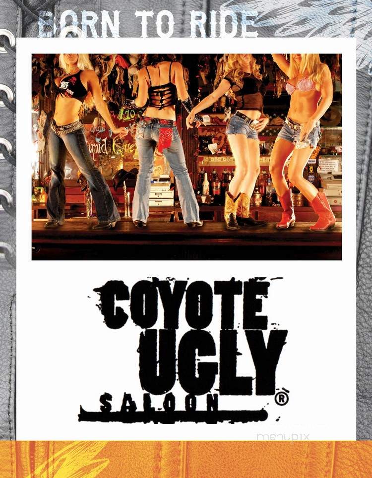 Coyote Ugly Saloon - Las Vegas, NV