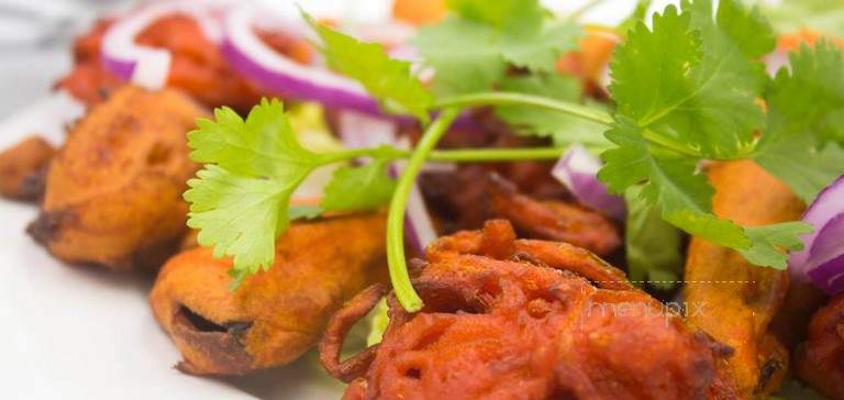 India Chef - Roswell, GA menu_pic