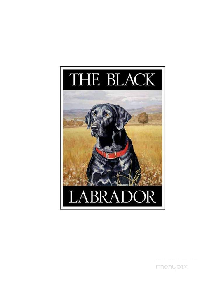 Black Labrador - Houston, TX