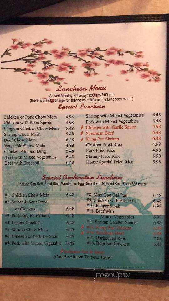 China City Restaurant - Spring Hill, FL menu_pic