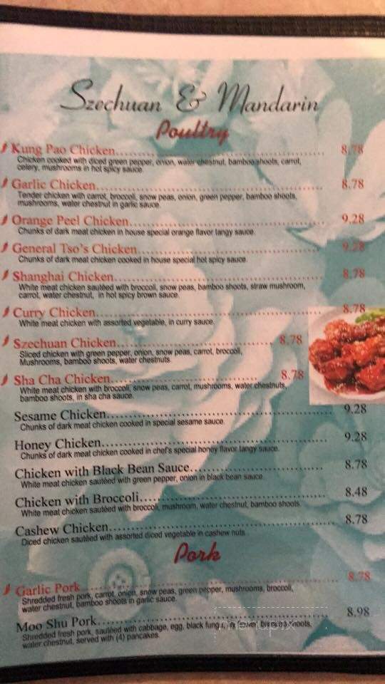 China City Restaurant - Spring Hill, FL menu_pic