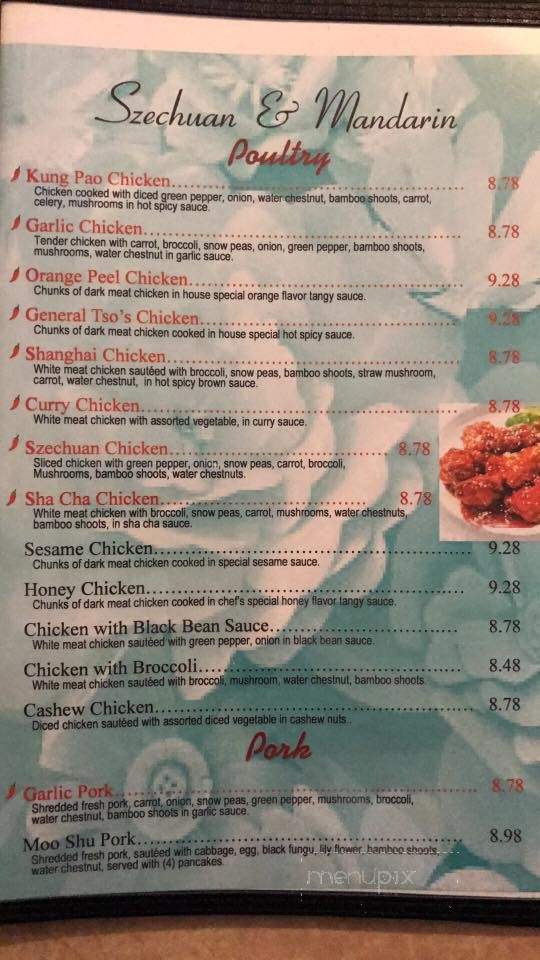 China City Restaurant - Spring Hill, FL menu_pic