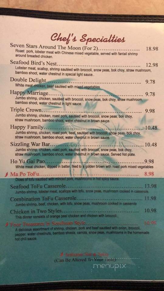 China City Restaurant - Spring Hill, FL menu_pic
