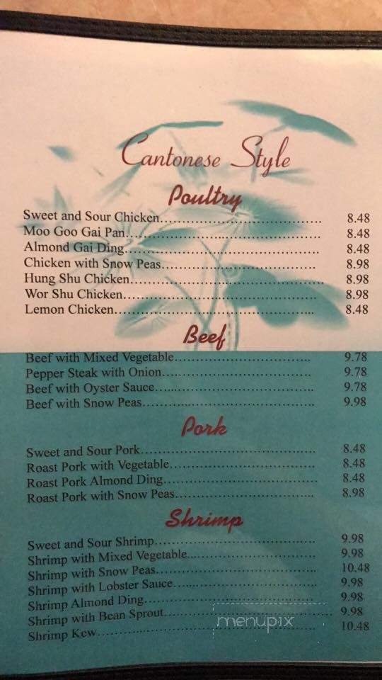 China City Restaurant - Spring Hill, FL menu_pic