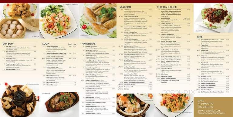 The Wokker - Mississauga, ON menu_pic