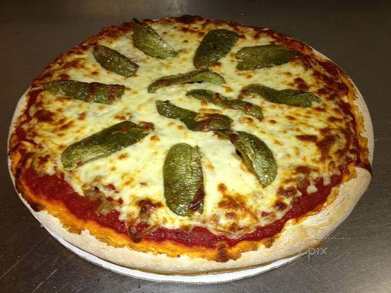 Village Pizzeria - Rosemont, IL menu_pic