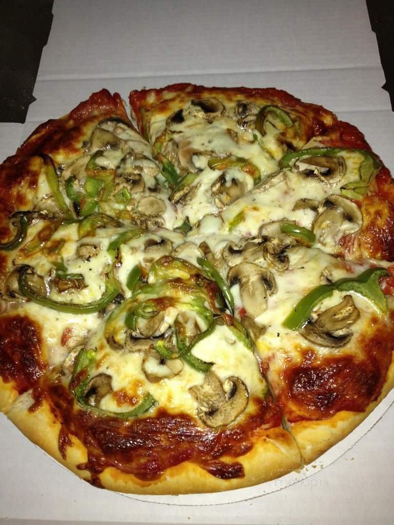 Village Pizzeria - Rosemont, IL menu_pic