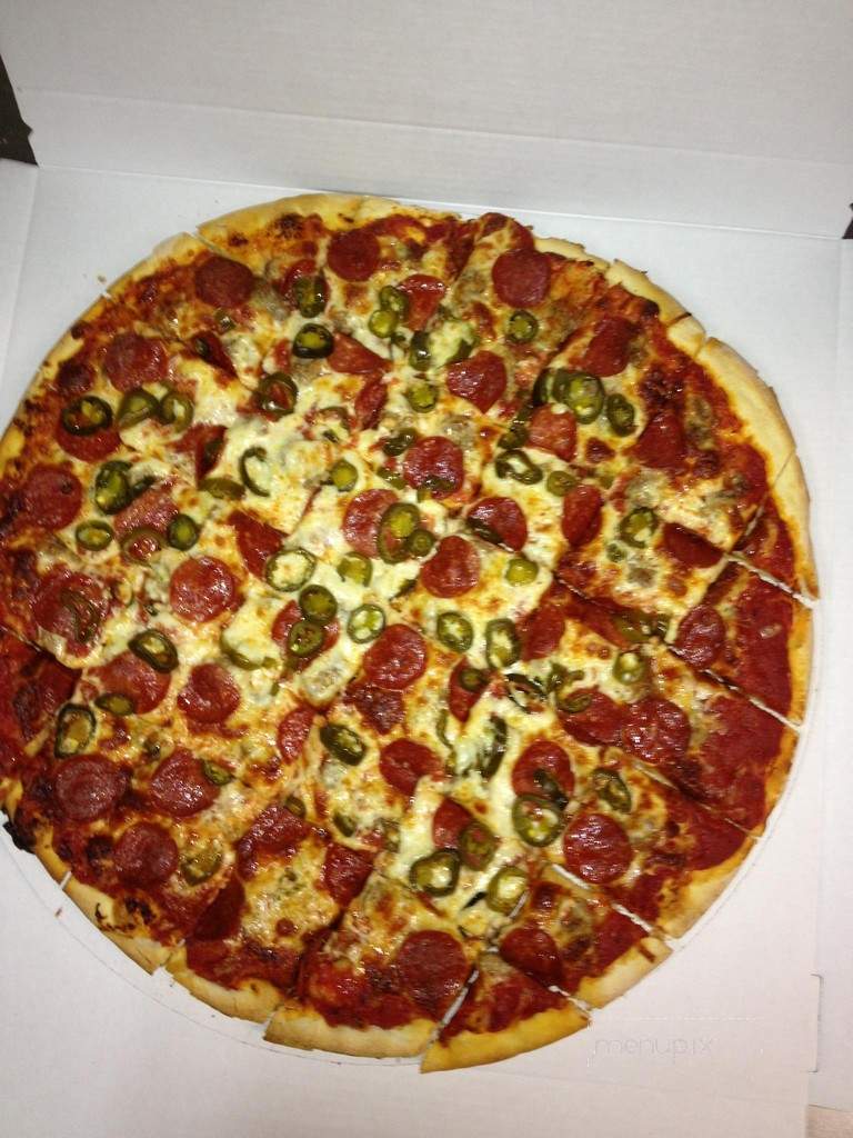 Village Pizzeria - Rosemont, IL menu_pic