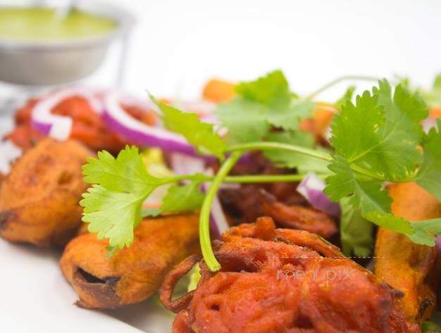 India Chef Restaurant - Roswell, GA menu_pic
