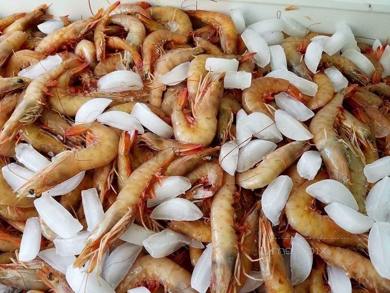 Paul's Seafood - Corpus Christi, TX menu_pic