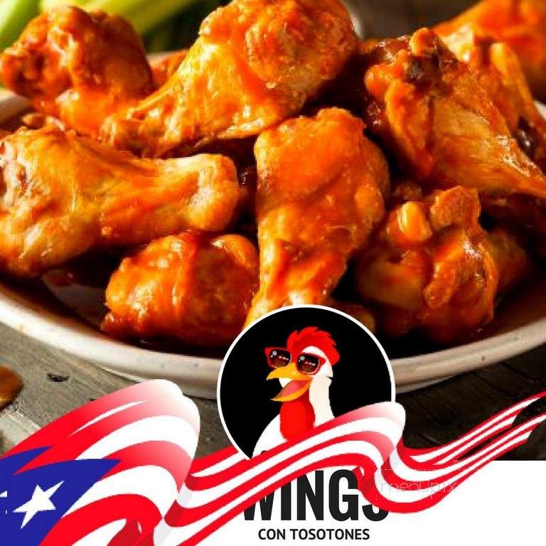 Mr Wings Food Truck - Kissimmee, FL