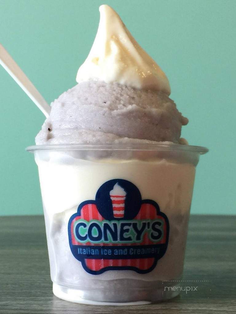 Coney's Italian Ice and Creamery - Tavares, FL menu_pic