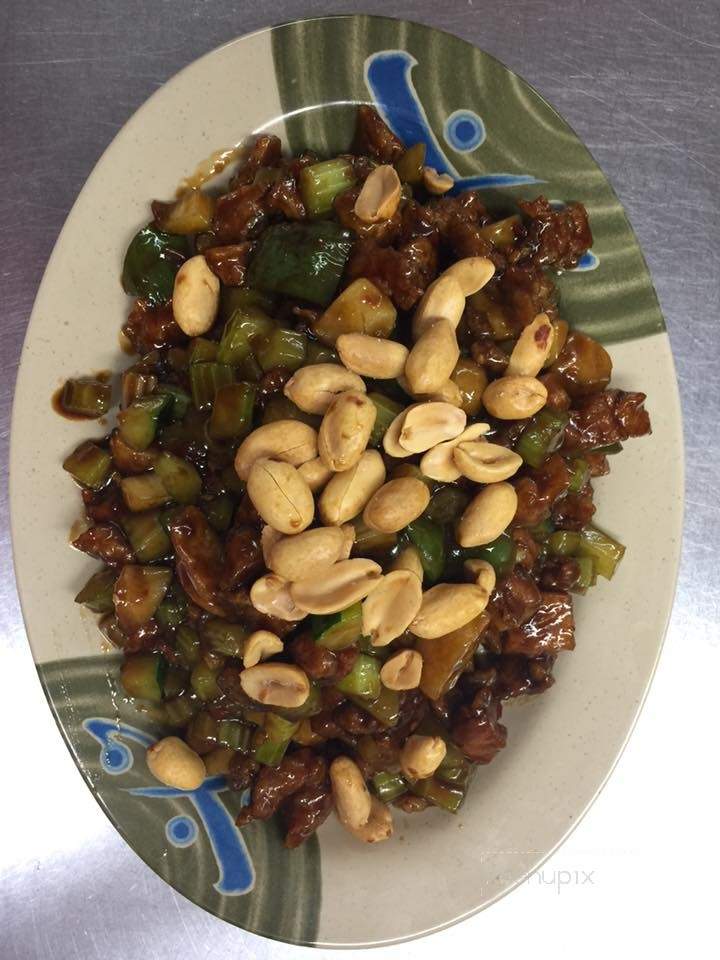 China Panda - Morris, MN menu_pic
