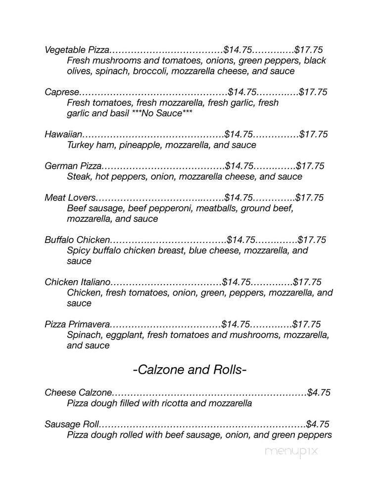 NYC Village Pizza - Bethlehem, PA menu_pic
