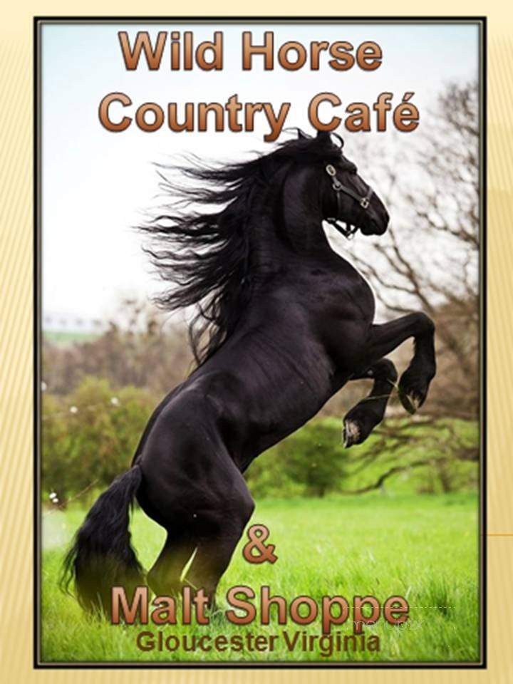 The Wild Horse Country Cafe and Malt Shoppe - Hayes, VA