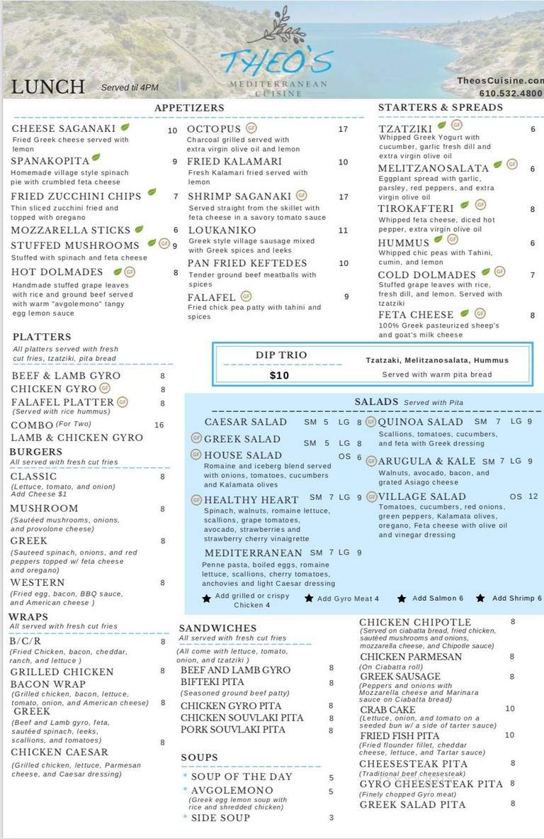 Theo's Mediterranean Cuisine - Prospect Park, PA menu_pic