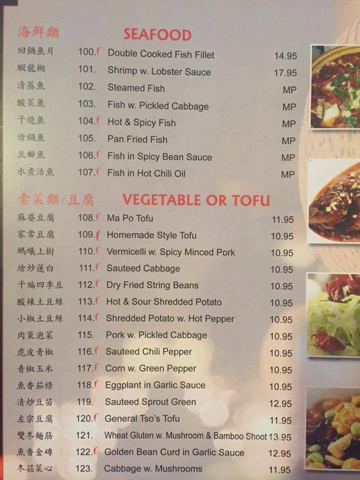 ChengDu Style Restaurant - Green Brook Township, NJ menu_pic