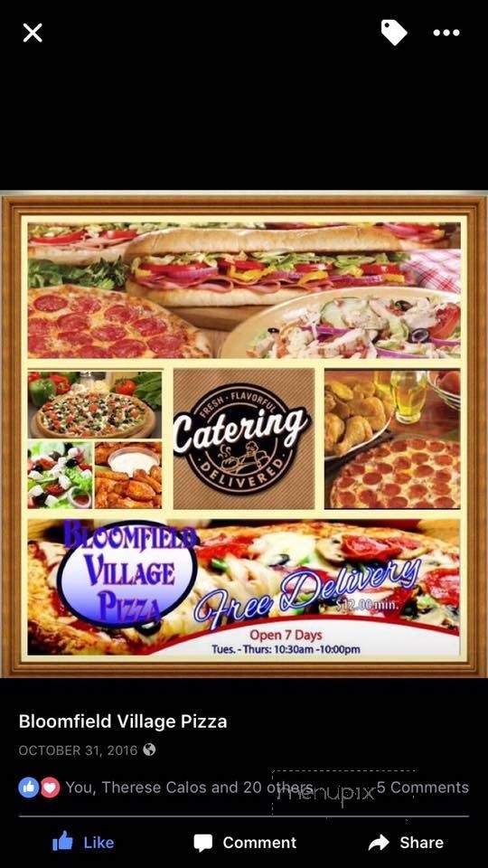 Bloomfield Village Pizza - Bloomfield, CT menu_pic