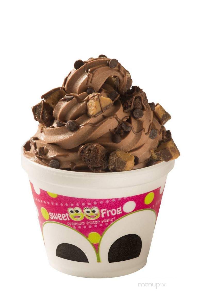 Sweet Frog Frozen Yogurt - Williamsport, PA menu_pic