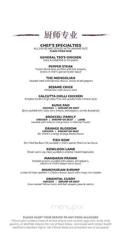 Lulu Chinese - Ozone Park, NY menu_pic