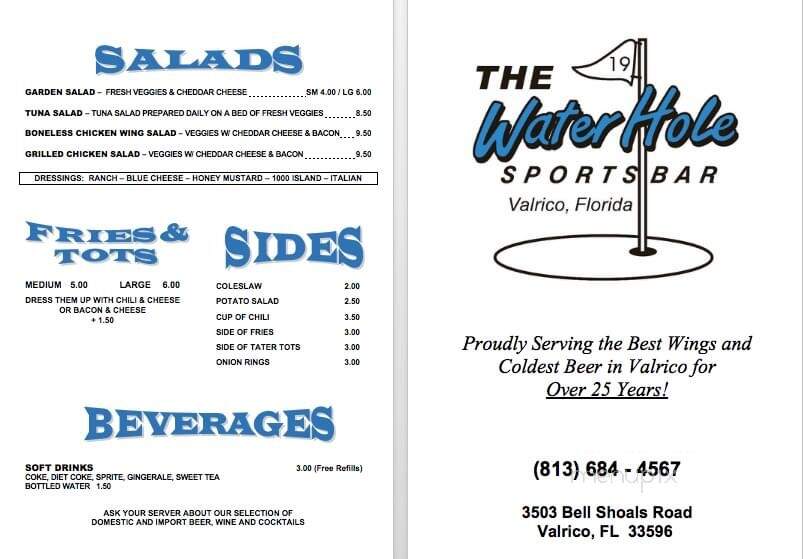 Waterhole Sports Bar - Valrico, FL