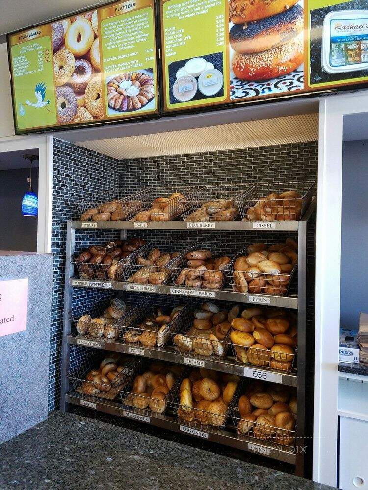 Life's A Bagel - Canton, MA