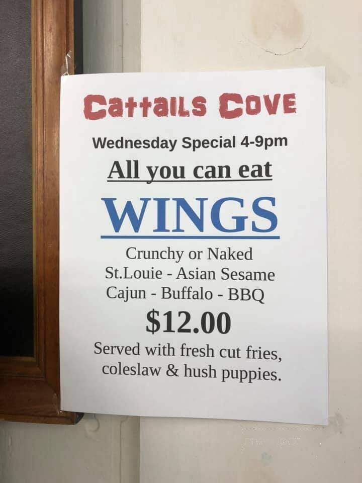 Cattails Cove - Cedarville, MI