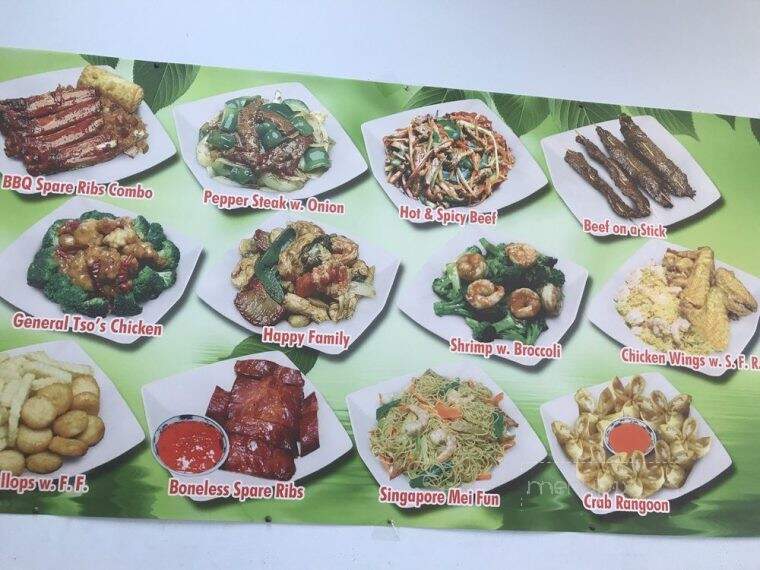 China 1 - Anderson, SC menu_pic