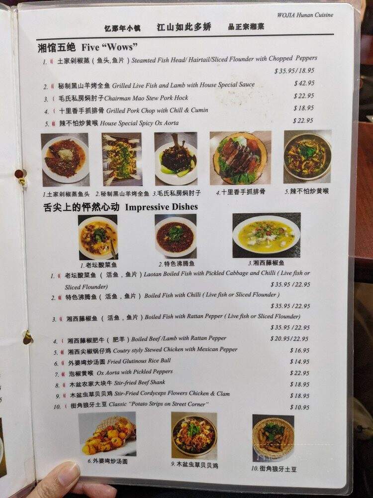 Wojia Hunan Cuisine - Albany, CA menu_pic