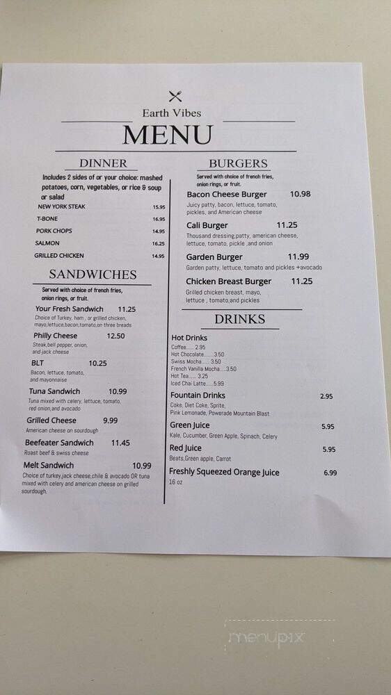 Earth Vibes - Slymar, CA menu_pic