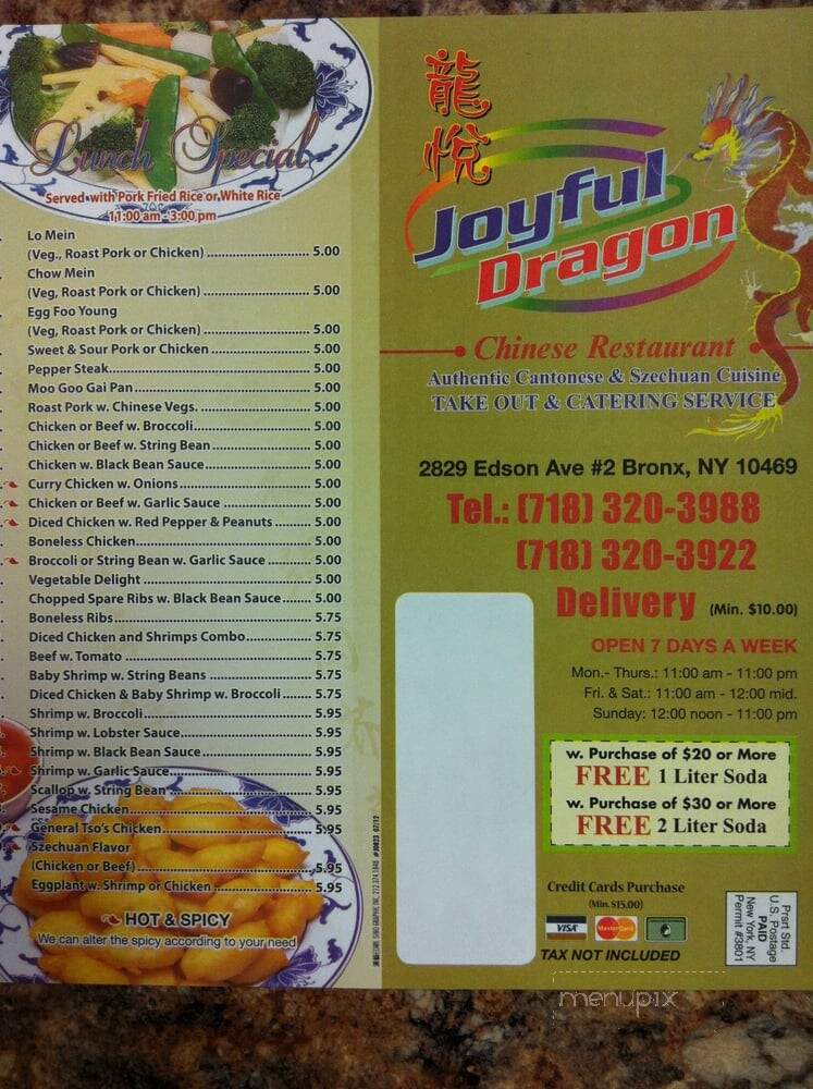 Joyful Dragon Chinese Restaurant - Bronx, NY