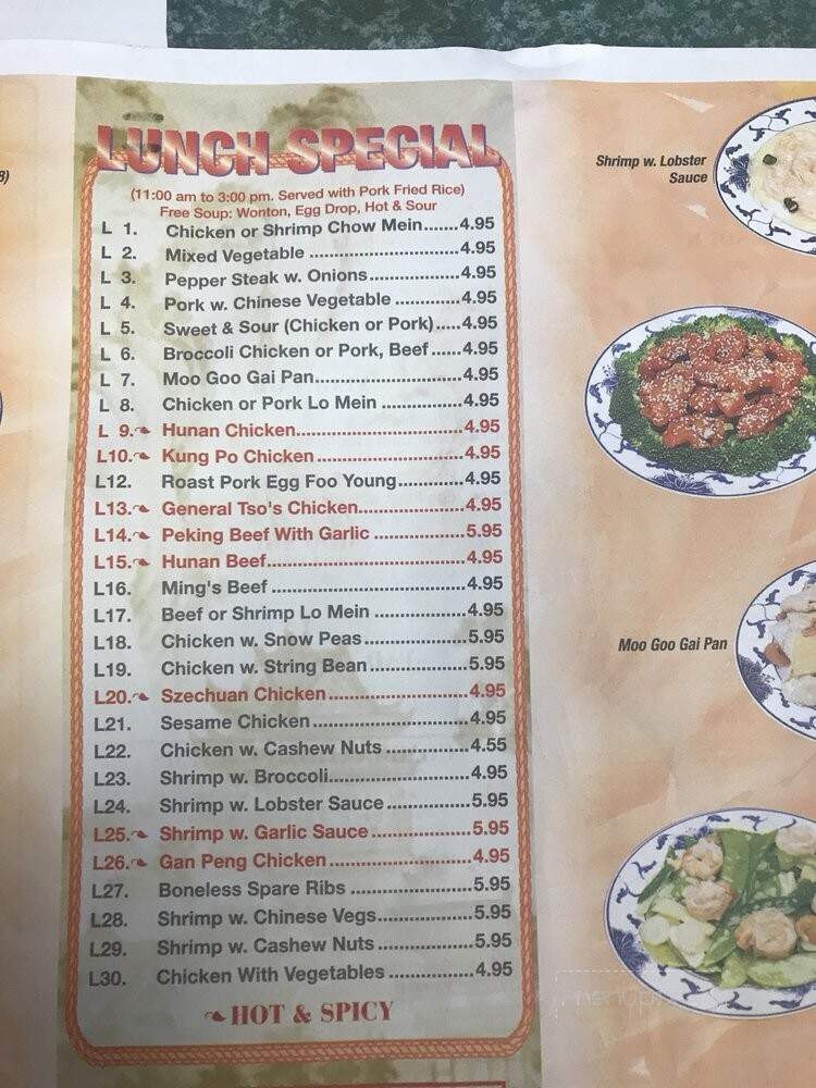 Bamboo China Restaurant - Williamsville, NY menu_pic