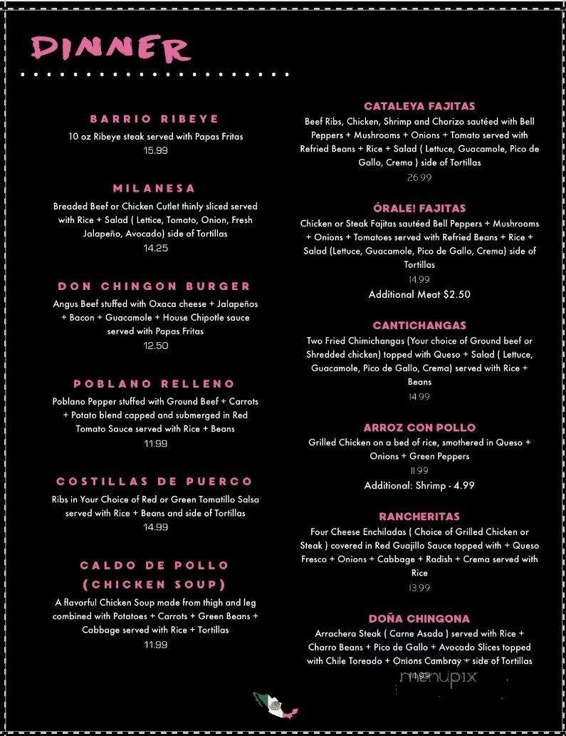 Cataleya Cantina - Knoxville, TN menu_pic