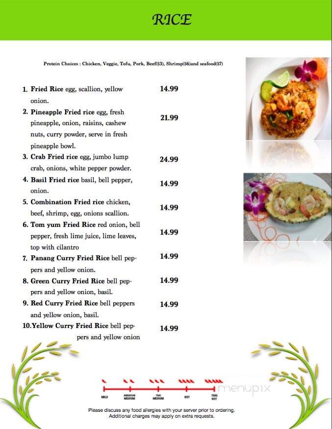 Thai Rice - Pensacola, FL menu_pic