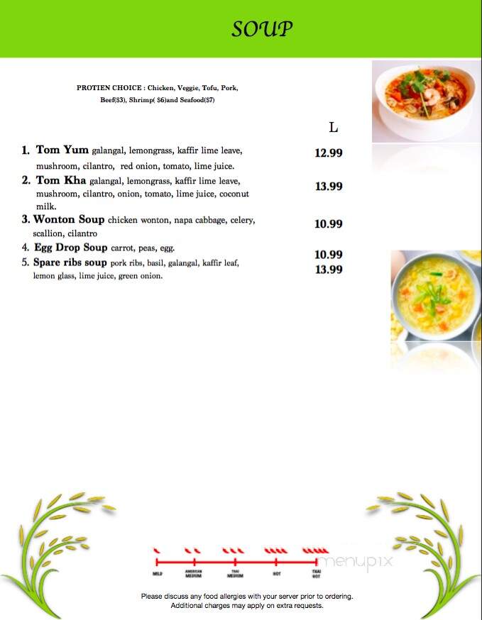 Thai Rice - Pensacola, FL menu_pic