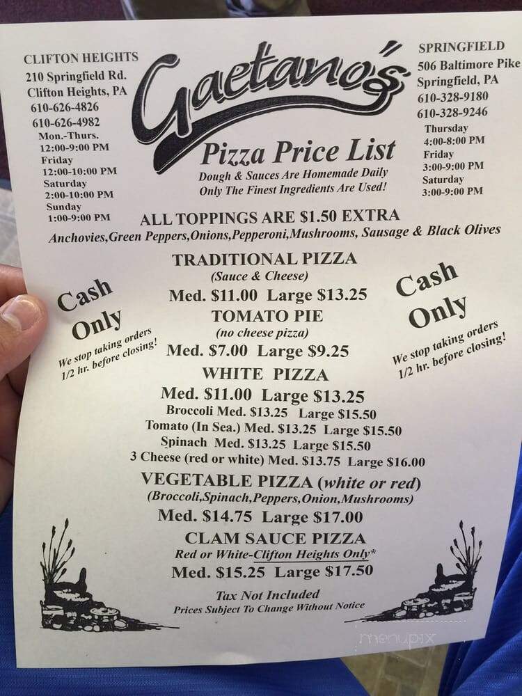 Gaetano's Pizzeria & Italian - Springfield, PA menu_pic
