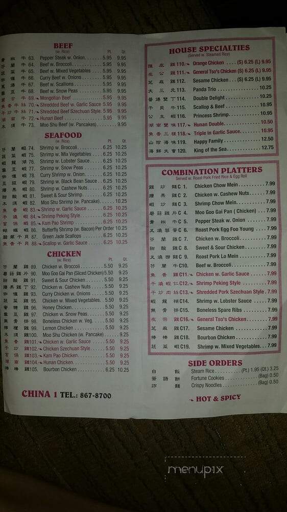 China 1 - Ocala, FL menu_pic