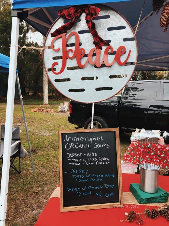 Sally's Ice Cream - Flagler Beach, FL menu_pic
