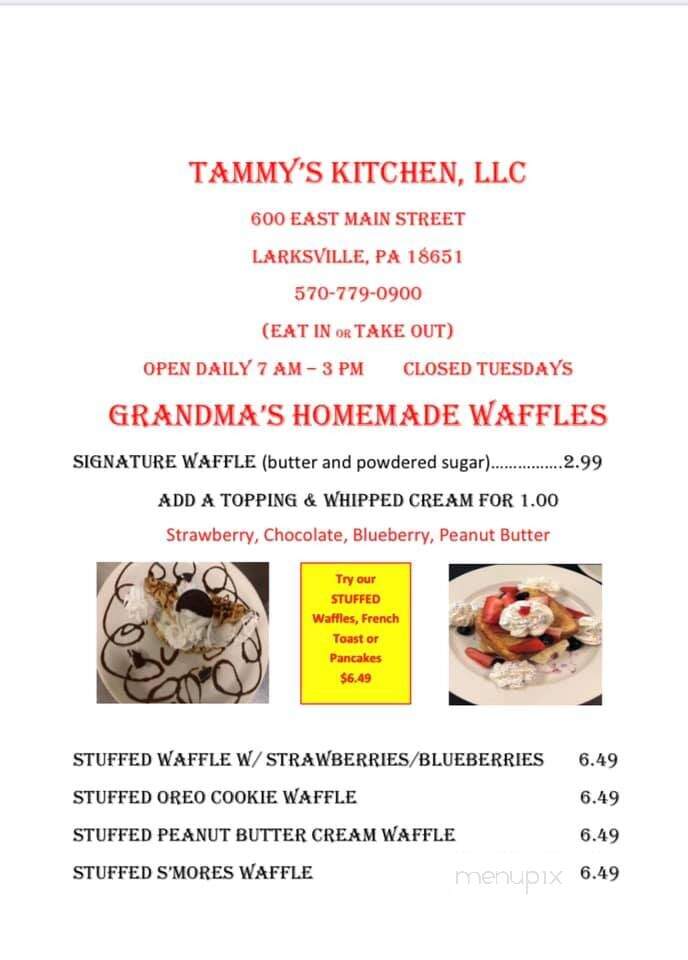 Tammy's Kitchen - Larksville, PA