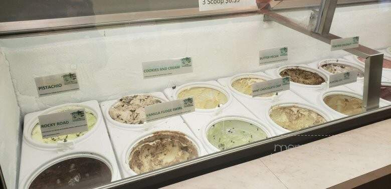 Kimi's Ice Cream - Riverview, FL