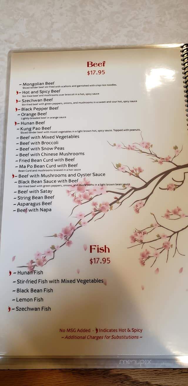 New Garden Restaurant - Pullman, WA menu_pic