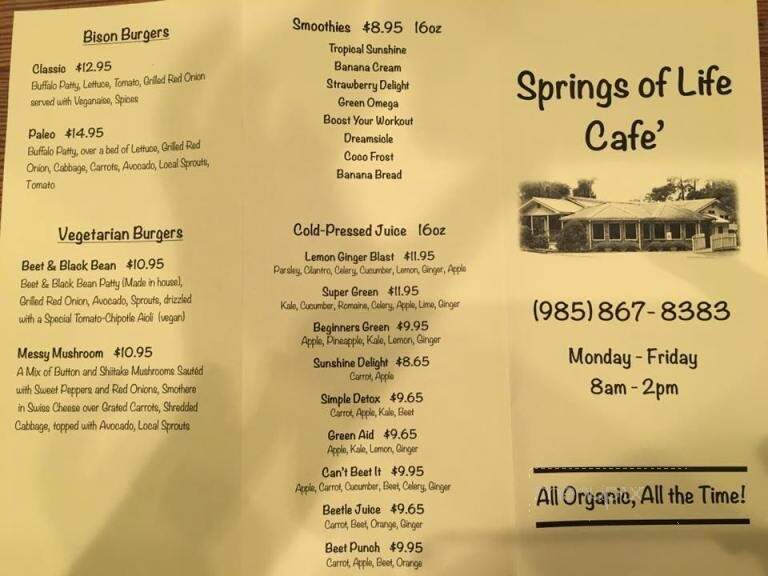 Springs of Life Cafe - Covington, LA