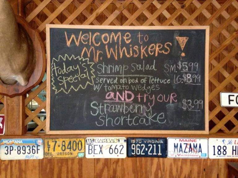 Mr Whiskers Family Catfish Restaurant - McComb, MS menu_pic