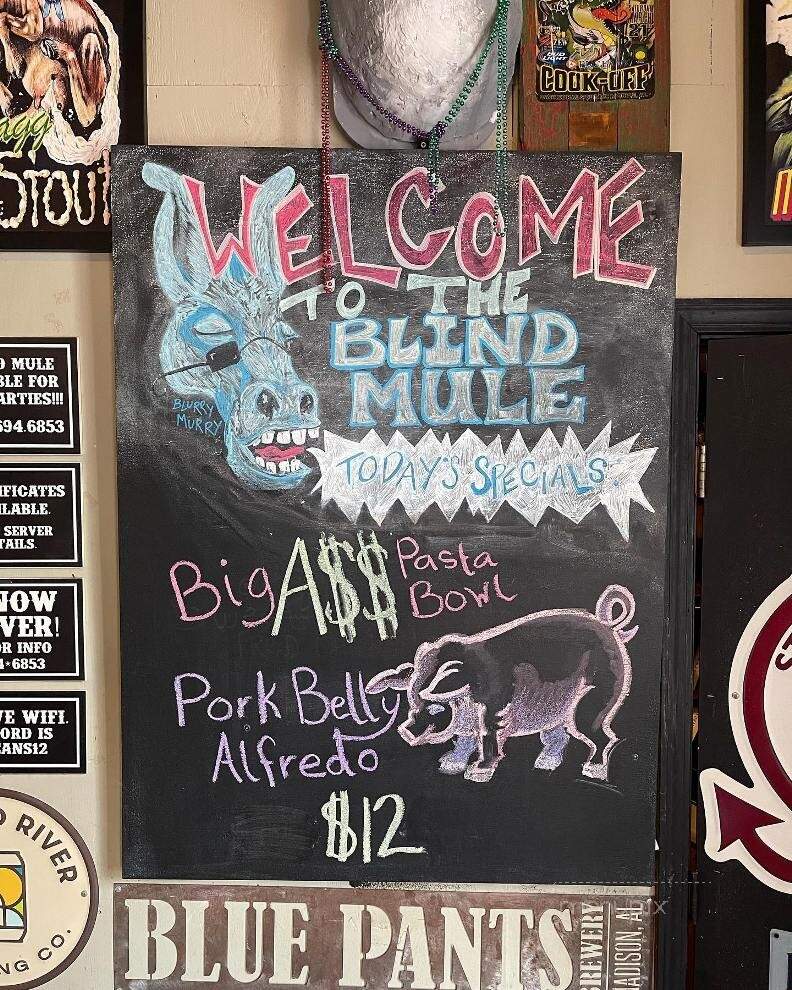 Blind Mule - Mobile, AL