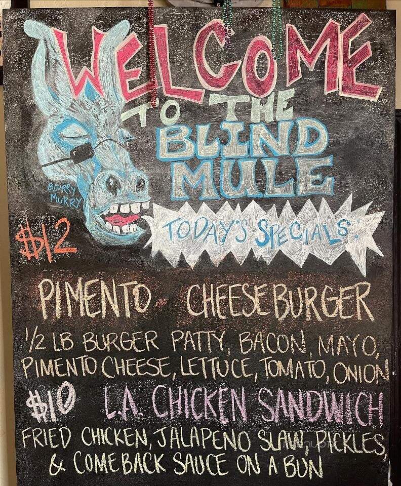 Blind Mule - Mobile, AL
