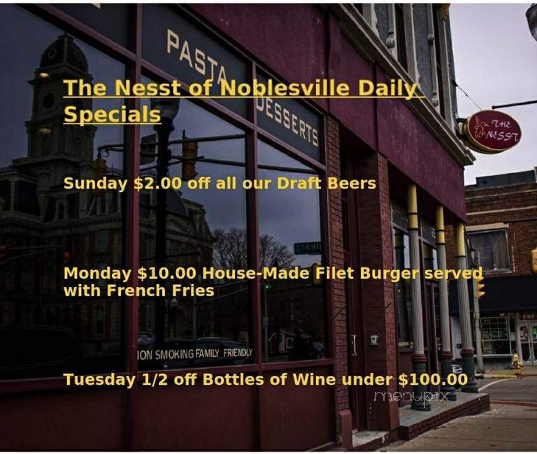 The Nesst of Noblesville - Noblesville, IN